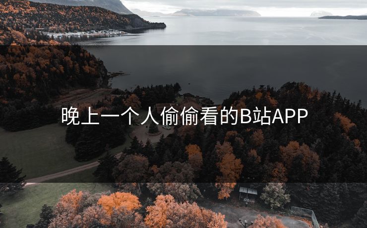 晚上一个人偷偷看的B站APP