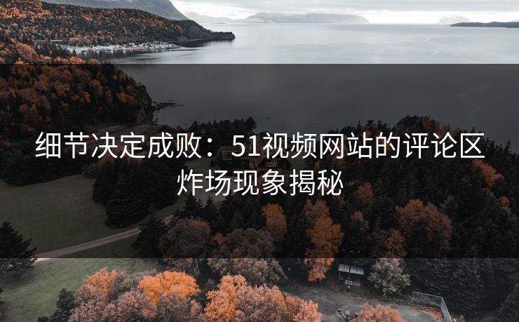 细节决定成败：51视频网站的评论区炸场现象揭秘